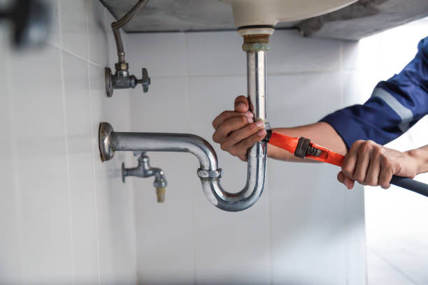 Best Toilet Repair Services  in Gorevle, IL