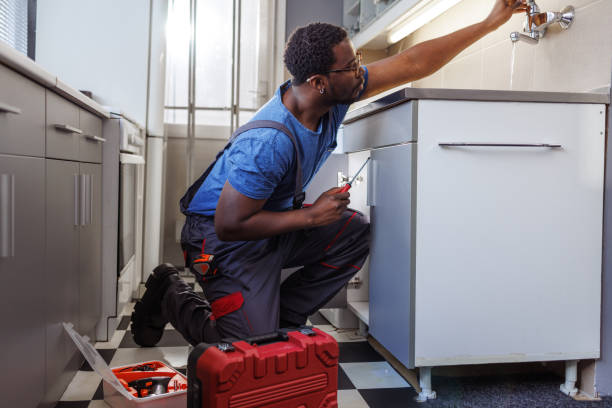 Best Plumbing Services Near Me  in Gorevle, IL