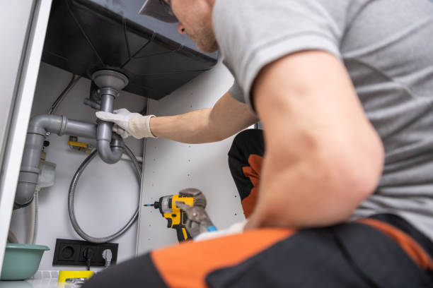 Best Plumbing Repair Near Me  in Gorevle, IL